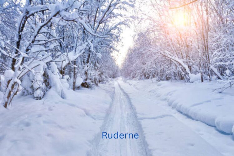 Ruderne